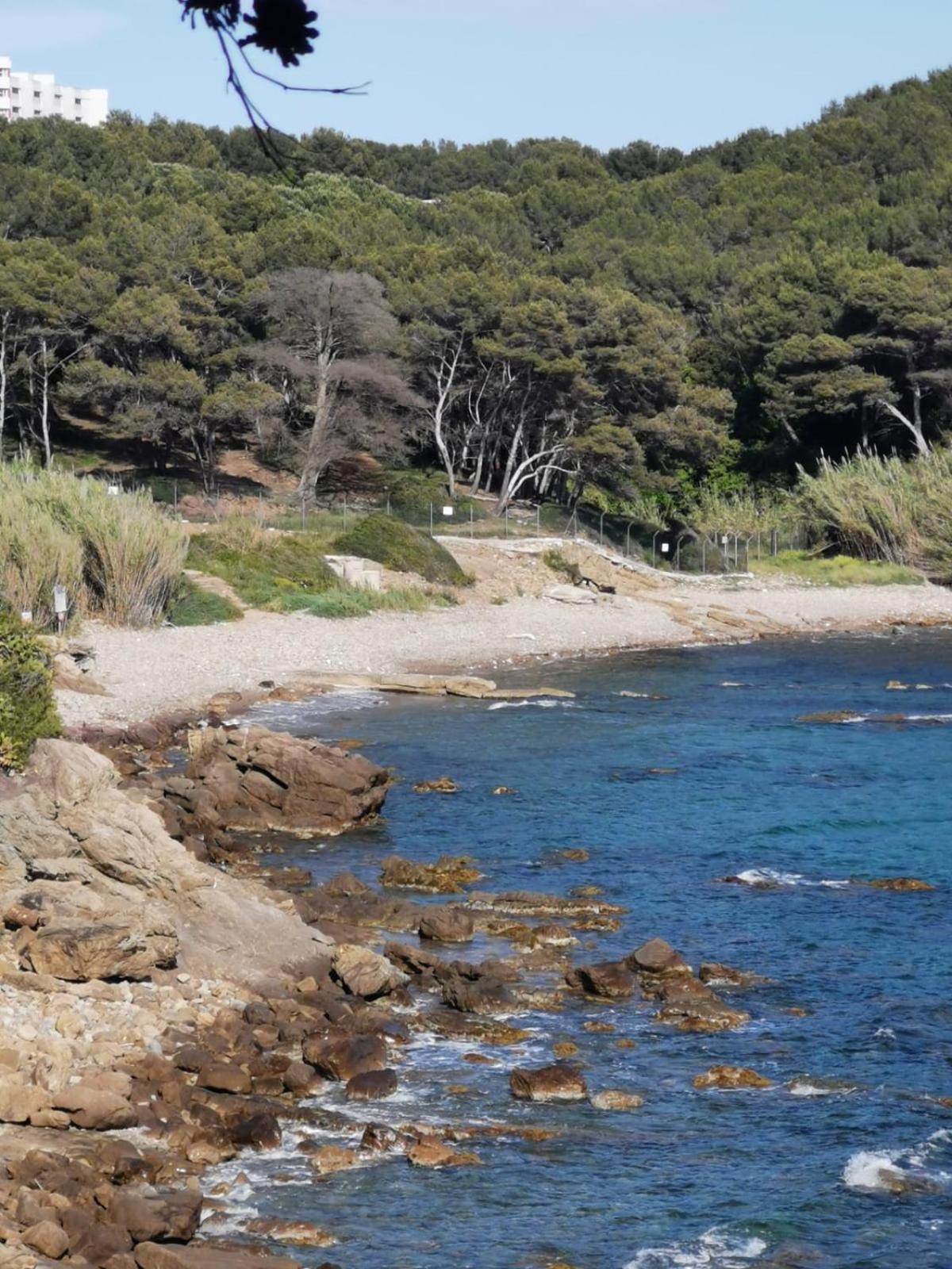 Petit Paradis - St Mandrier Village Saint-Mandrier-sur-Mer Bagian luar foto