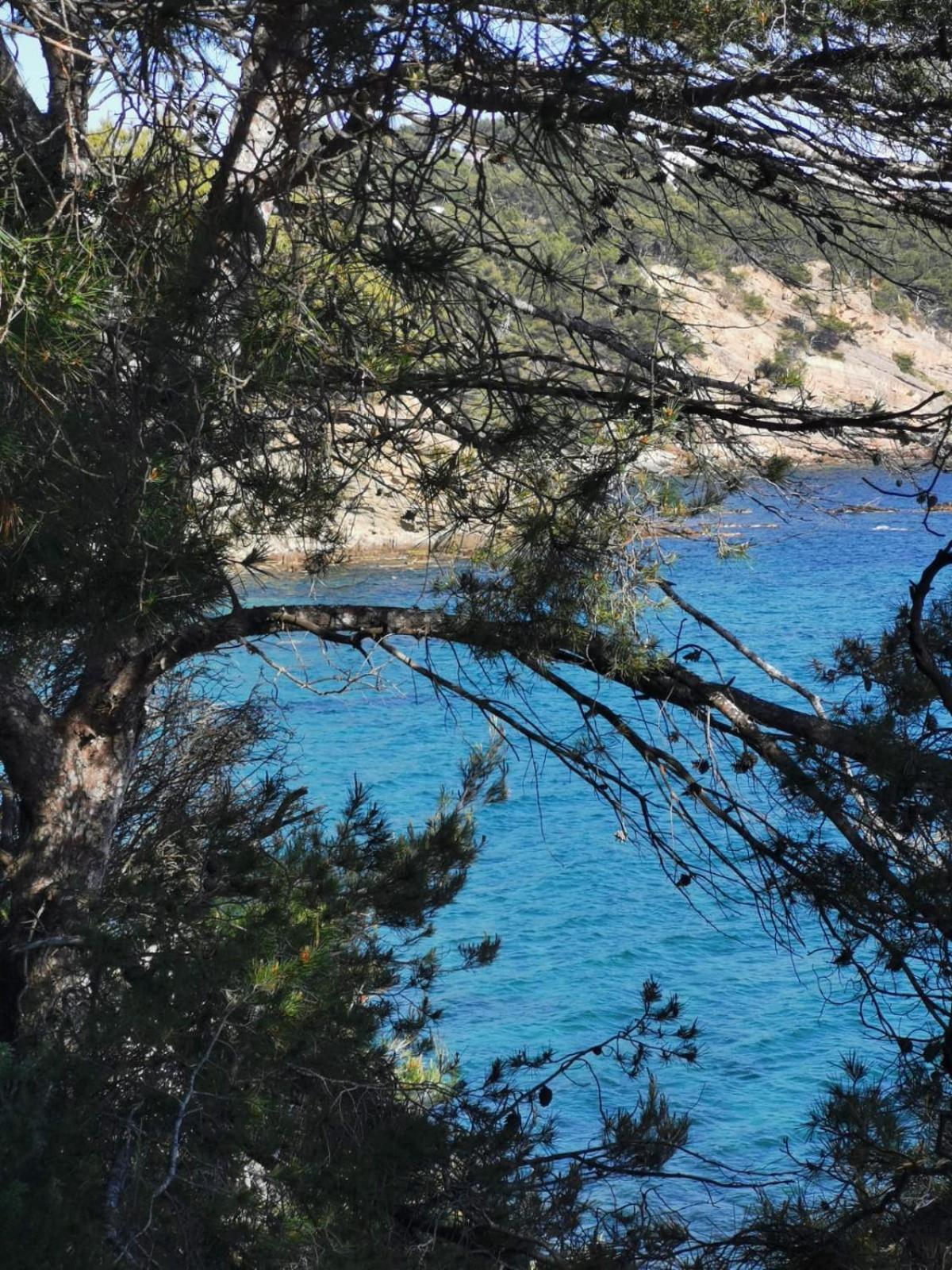 Petit Paradis - St Mandrier Village Saint-Mandrier-sur-Mer Bagian luar foto