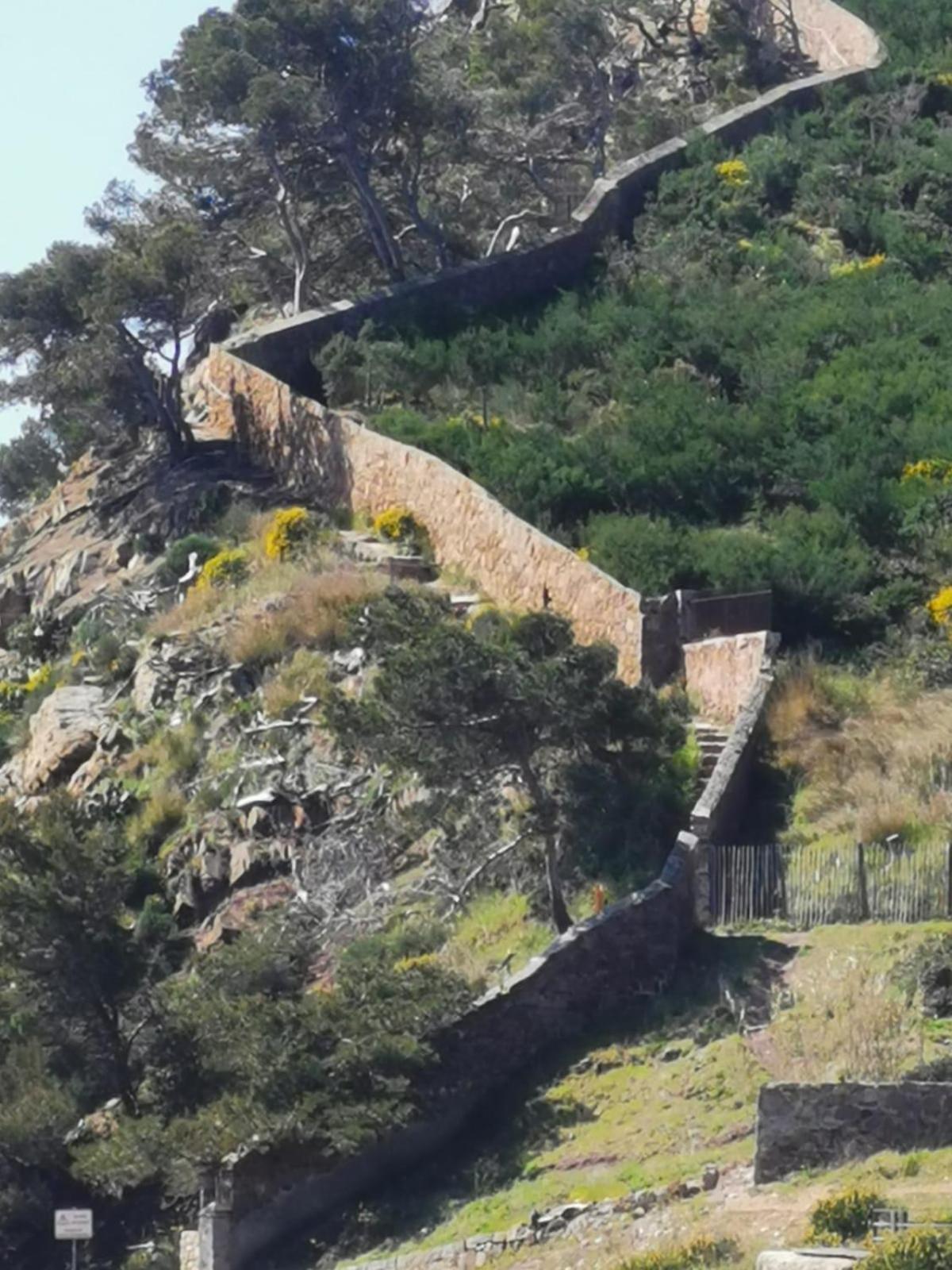 Petit Paradis - St Mandrier Village Saint-Mandrier-sur-Mer Bagian luar foto