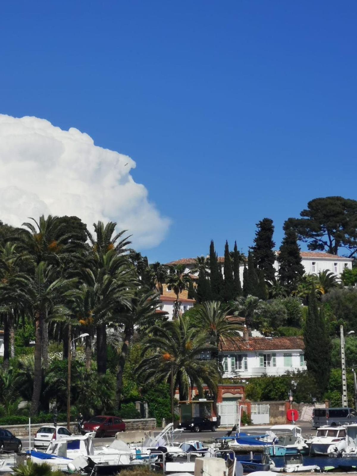Petit Paradis - St Mandrier Village Saint-Mandrier-sur-Mer Bagian luar foto