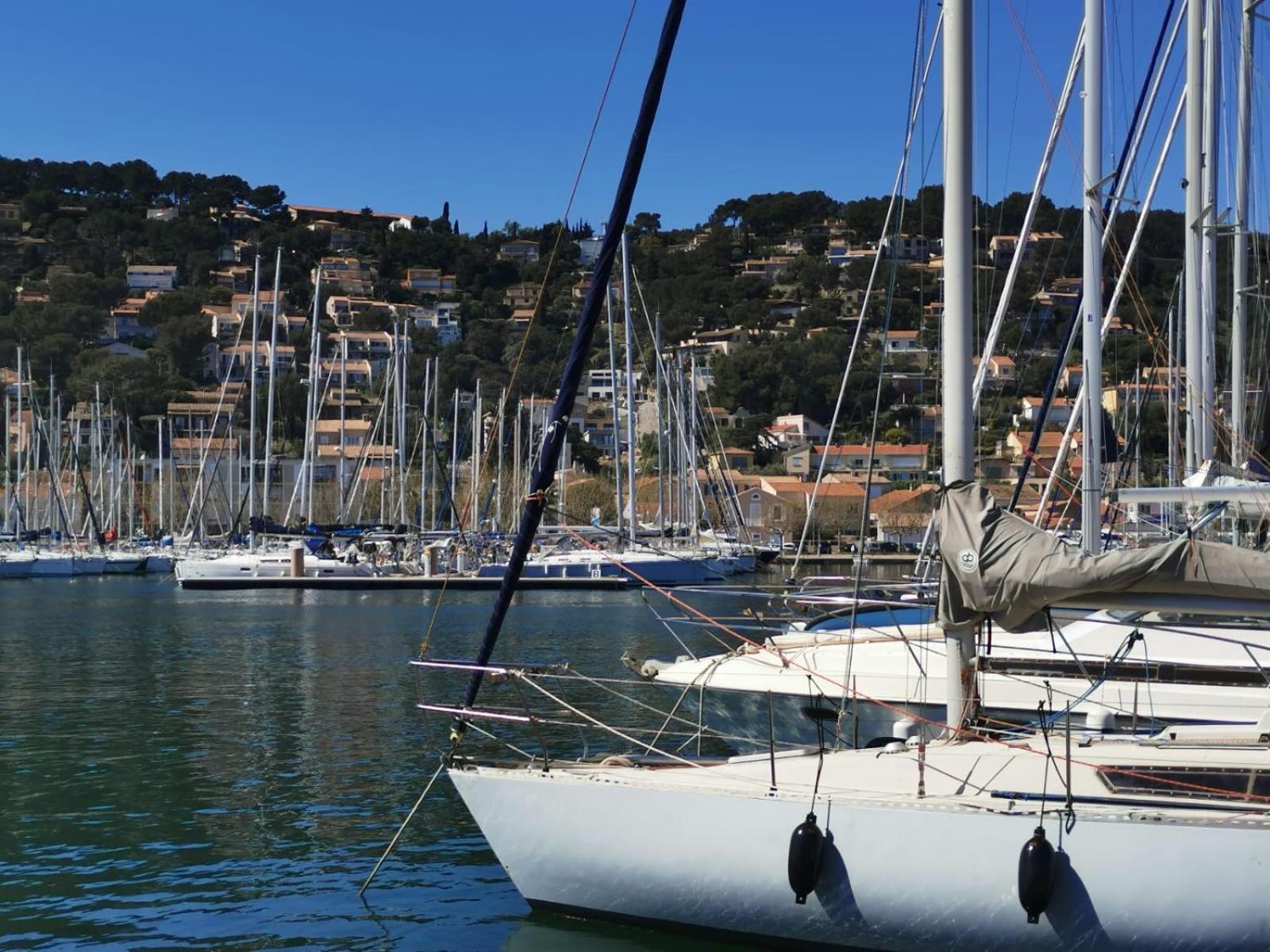 Petit Paradis - St Mandrier Village Saint-Mandrier-sur-Mer Bagian luar foto